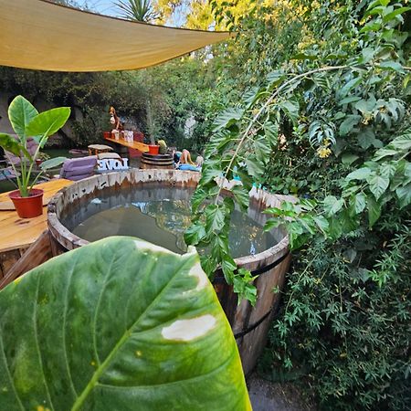 La Araucaria Cabana Con Tinaja San Felipe Esterno foto