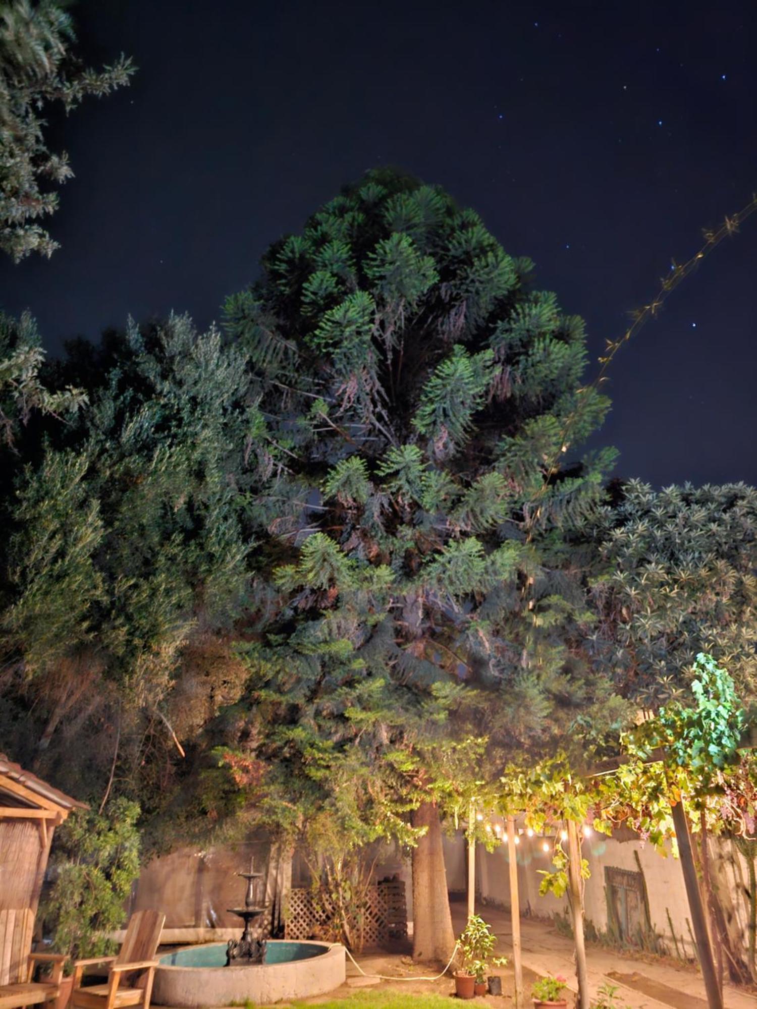 La Araucaria Cabana Con Tinaja San Felipe Esterno foto