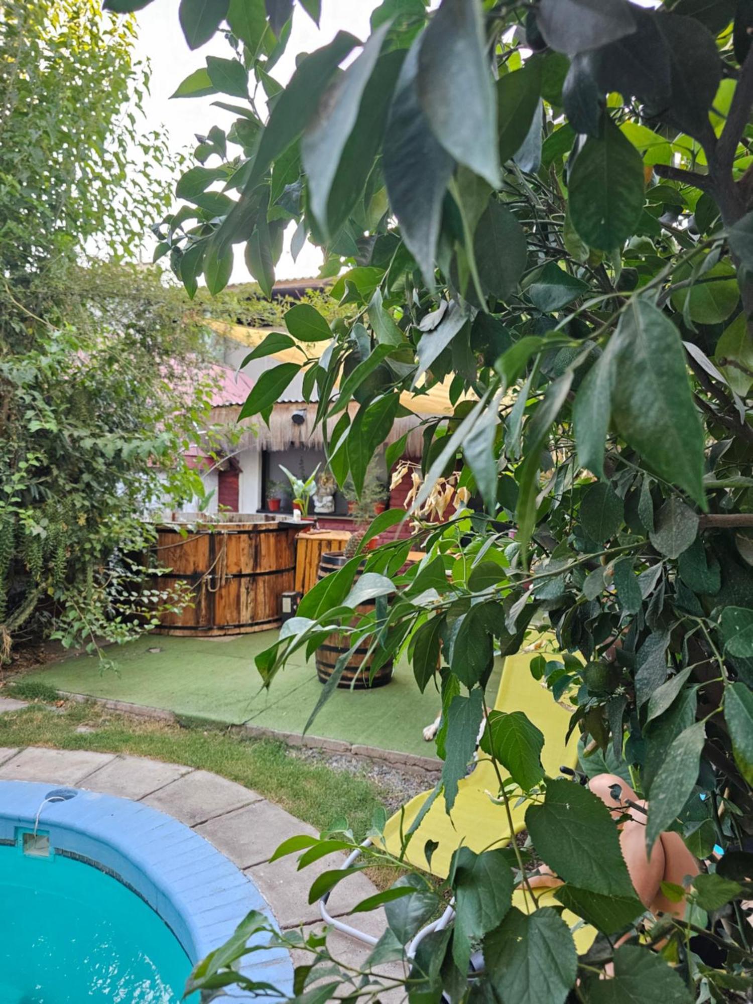 La Araucaria Cabana Con Tinaja San Felipe Esterno foto