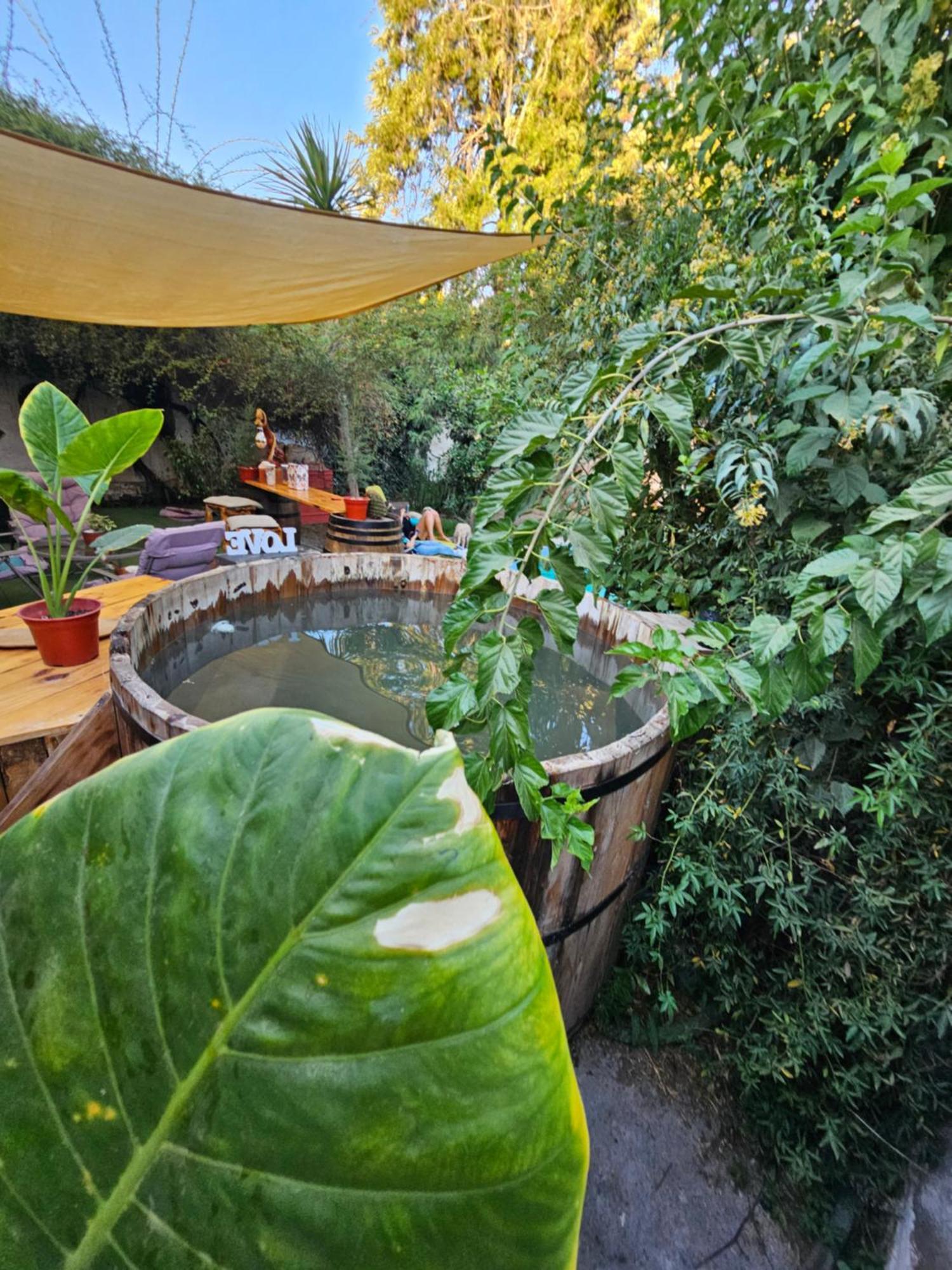La Araucaria Cabana Con Tinaja San Felipe Esterno foto