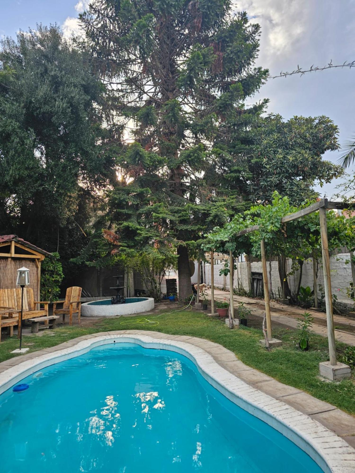 La Araucaria Cabana Con Tinaja San Felipe Esterno foto